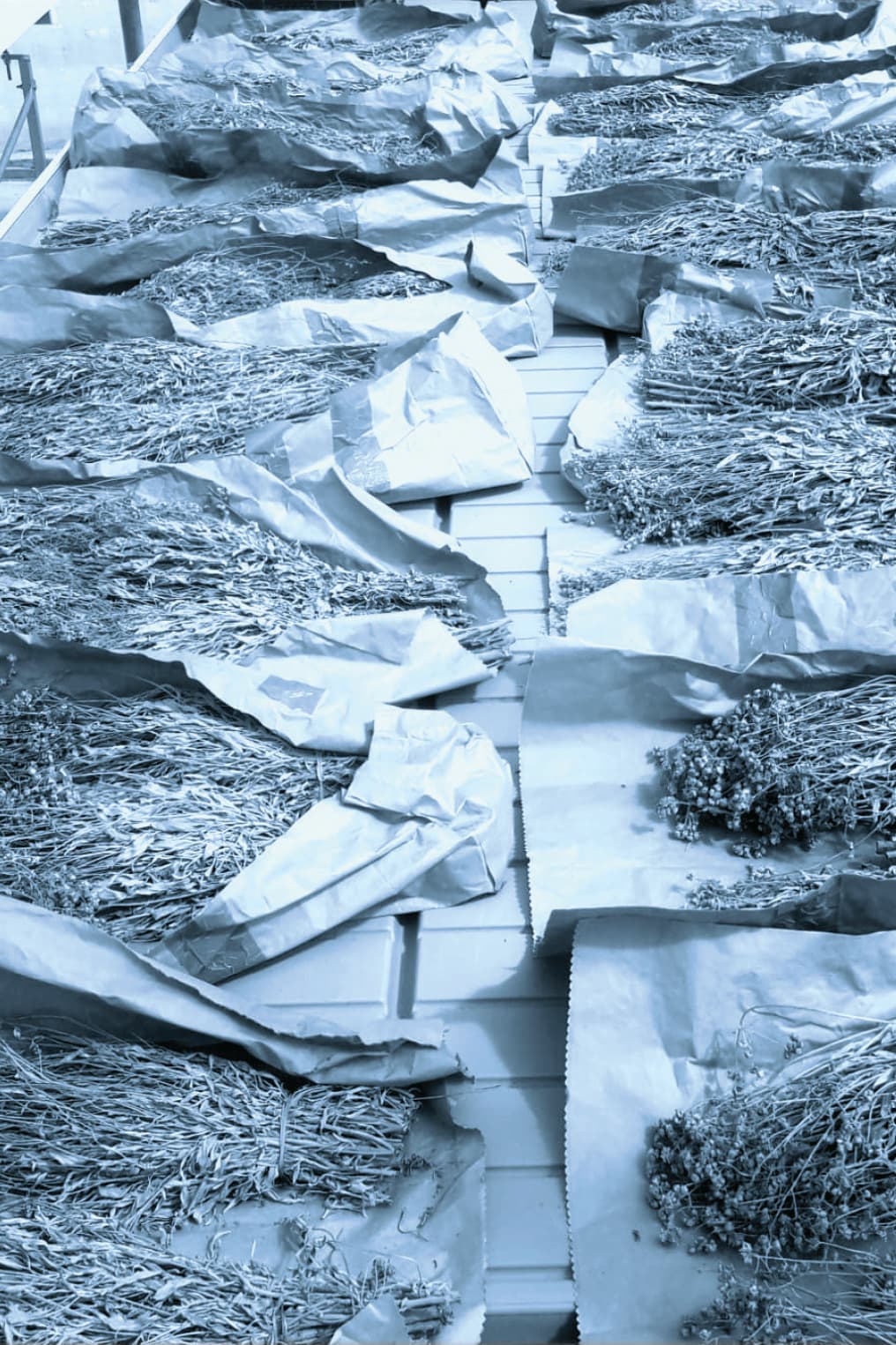 COMPLETO_Libro 02 Carmona-56